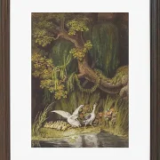 Wilhelm Tischbein – Eine Gans und ein Gänserich 1806 | Giclée Kunstdruck gerahmt