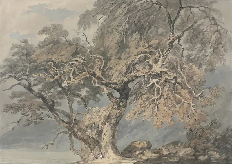 William Turner | Ein großer Baum - 1796 | Gerahmter Kunstdruck | Romantik | formida