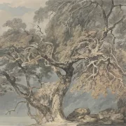 William Turner | Ein großer Baum - 1796 | Gerahmter Kunstdruck | Romantik | formida