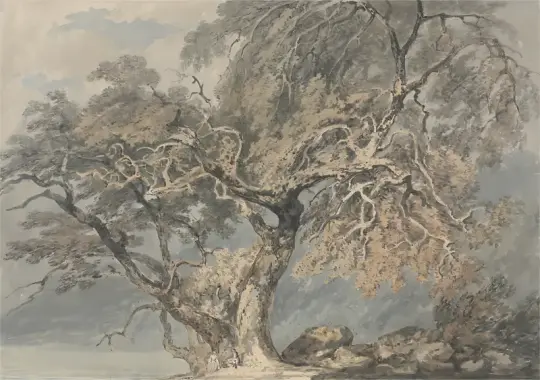 William Turner | Ein großer Baum - 1796 | Gerahmter Kunstdruck | Romantik | formida