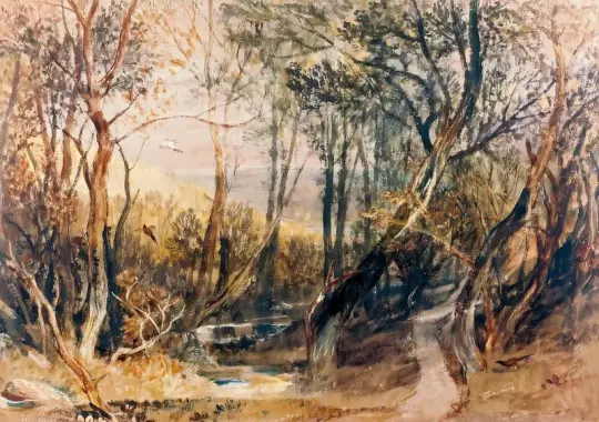 William Turner | Skovscene - 1798 | Indrammet kunsttryk | Romantic | formida