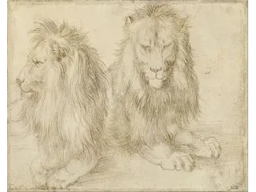 Zwei sitzende Löwen - 1521