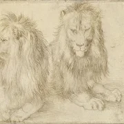 Zwei sitzende Löwen - 1521