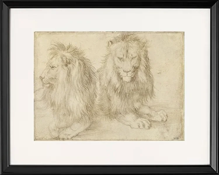Zwei sitzende Löwen - 1521