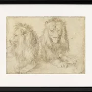 Zwei sitzende Löwen - 1521