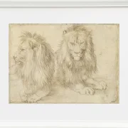 Zwei sitzende Löwen - 1521