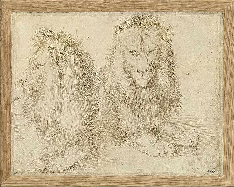 Zwei sitzende Löwen - 1521