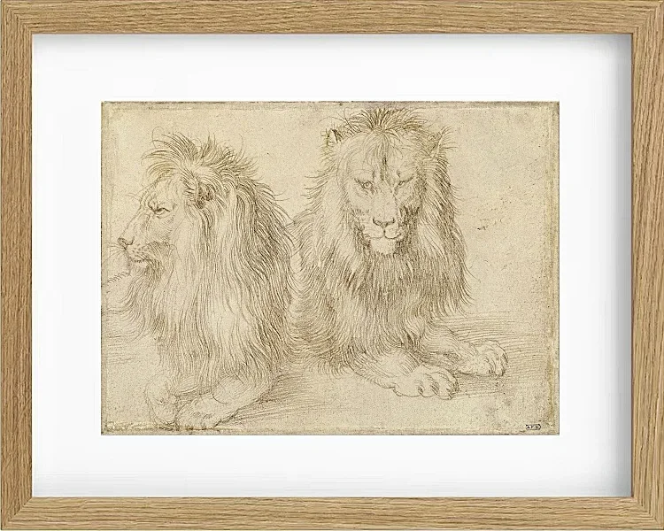 Zwei sitzende Löwen - 1521