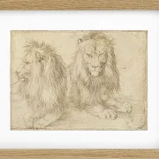 Zwei sitzende Löwen - 1521