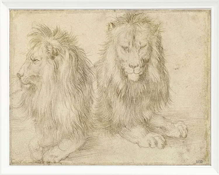 Zwei sitzende Löwen - 1521