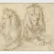 Zwei sitzende Löwen - 1521