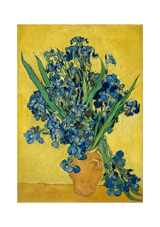 Vincent van Gogh - Schwertlilien